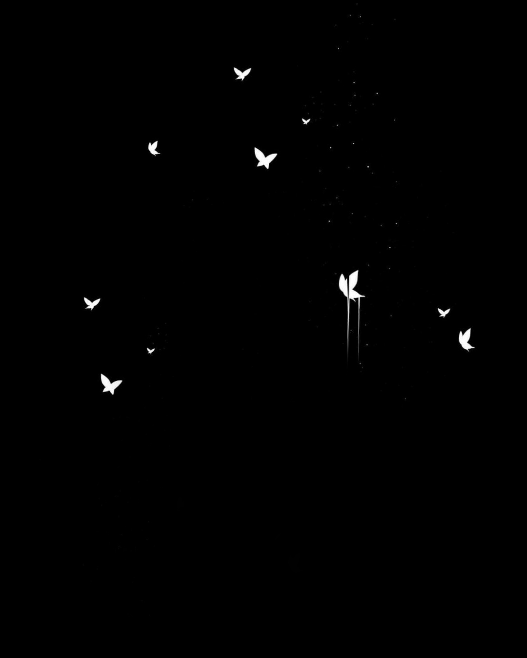 Background & Butterfly png download - DJ PHOTO EDITING